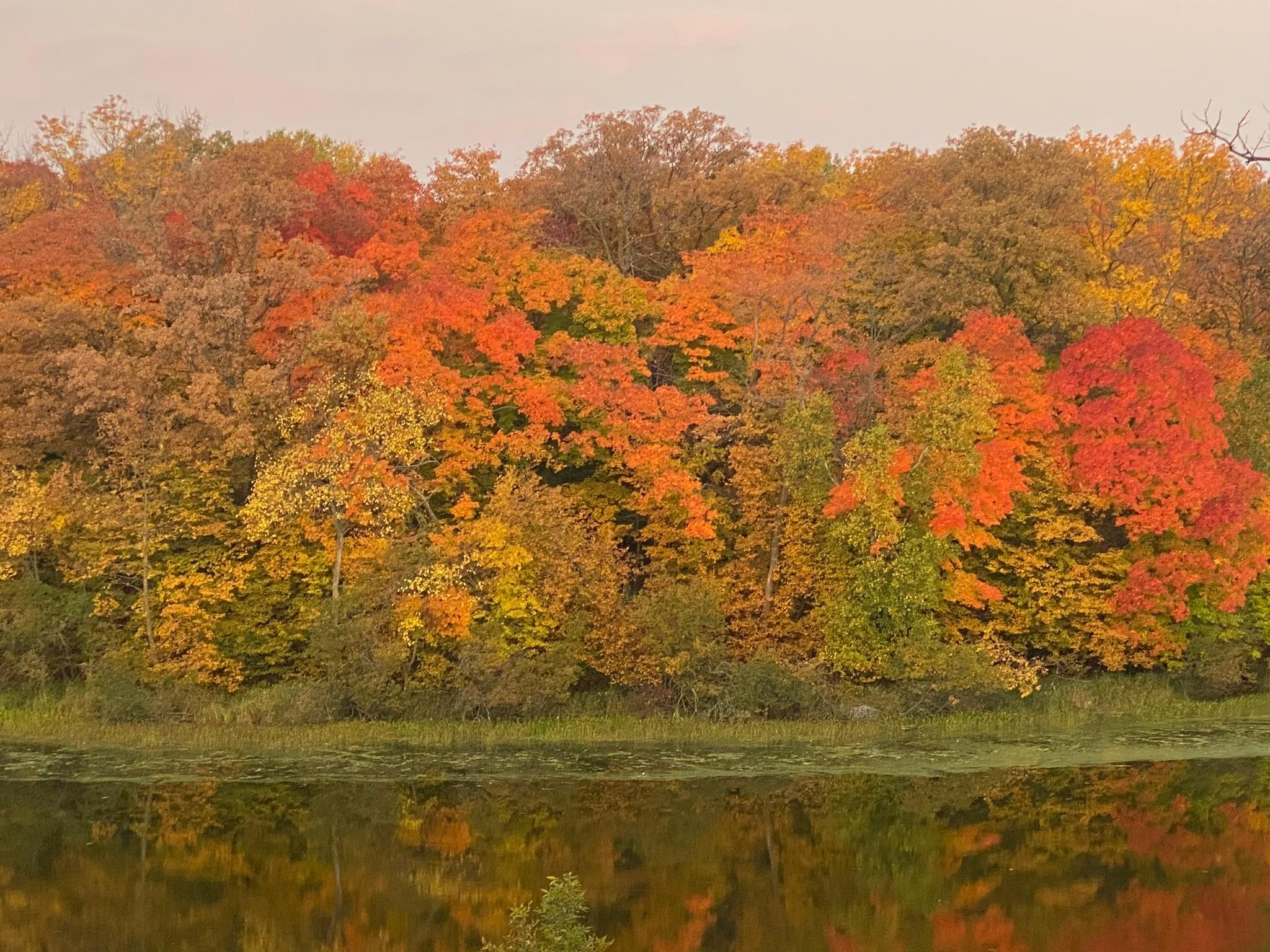 Detroit Lakes, Minnesota, 56501, United States, 3 Bedrooms Bedrooms, ,2 BathroomsBathrooms,Residential,Active,2017453