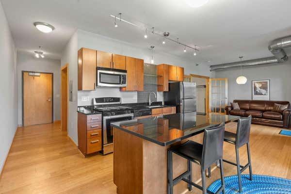 521 2ND ST SE APT 303, MINNEAPOLIS, MN 55414 - Image 1