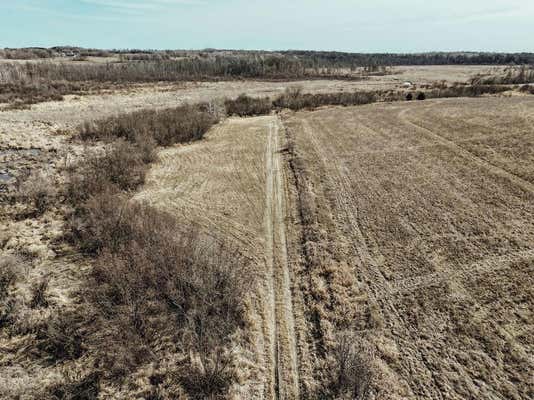 XXX COUNTY 48, LONG PRAIRIE, MN 56347 - Image 1