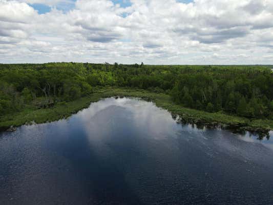 TBD COUNTY ROAD 156, SQUAW LAKE, MN 56681 - Image 1