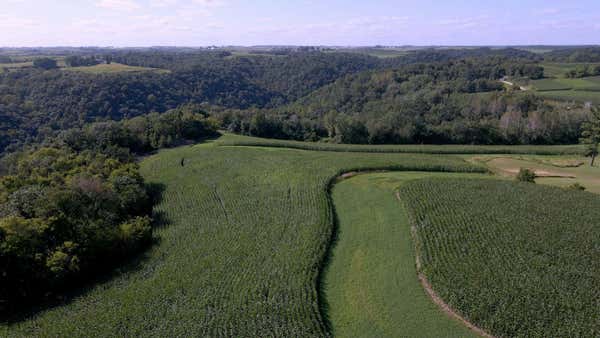 XXX CRAZY CORNERS ROAD, CALEDONIA, MN 55921 - Image 1