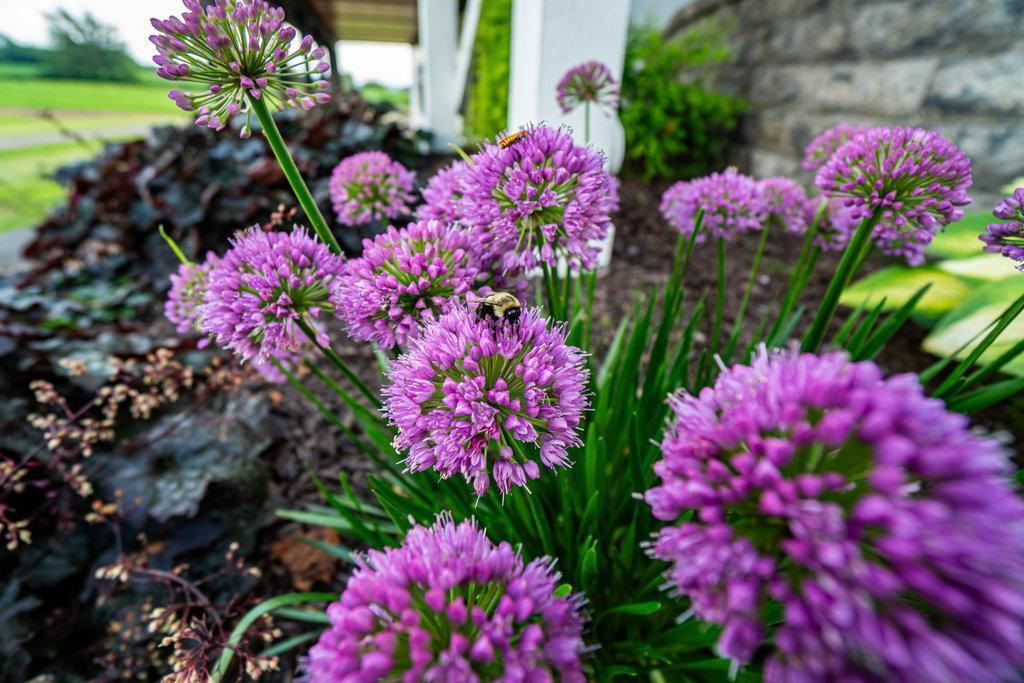 Menomonie, Wisconsin, 54751, United States, 2 Bedrooms Bedrooms, ,3 BathroomsBathrooms,Residential,Active,1993940