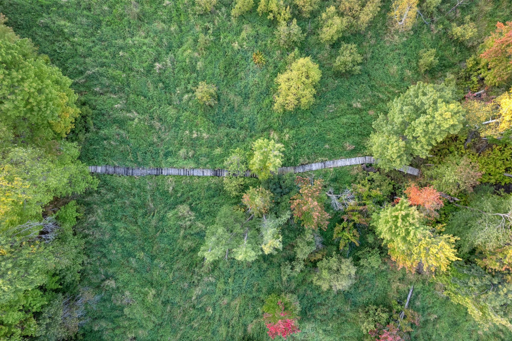 Andover, Minnesota, 55304, United States, 5 Bedrooms Bedrooms, ,5 BathroomsBathrooms,Residential,Active,1943833