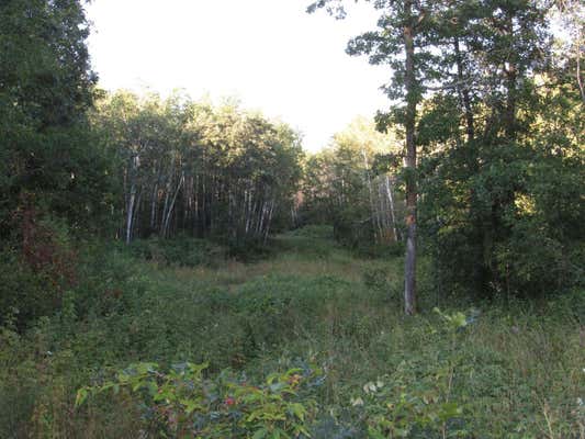 TBD 12TH STREET SW, BACKUS, MN 56435 - Image 1