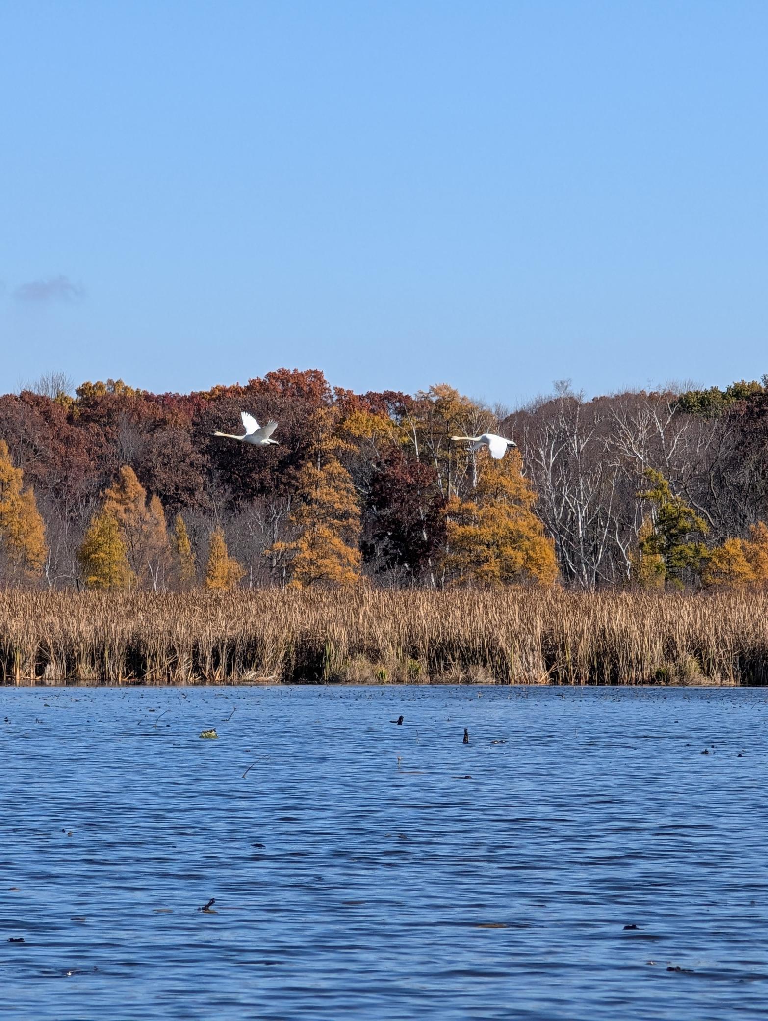 Andover, Minnesota, 55304, United States, 5 Bedrooms Bedrooms, ,5 BathroomsBathrooms,Residential,Active,1943833