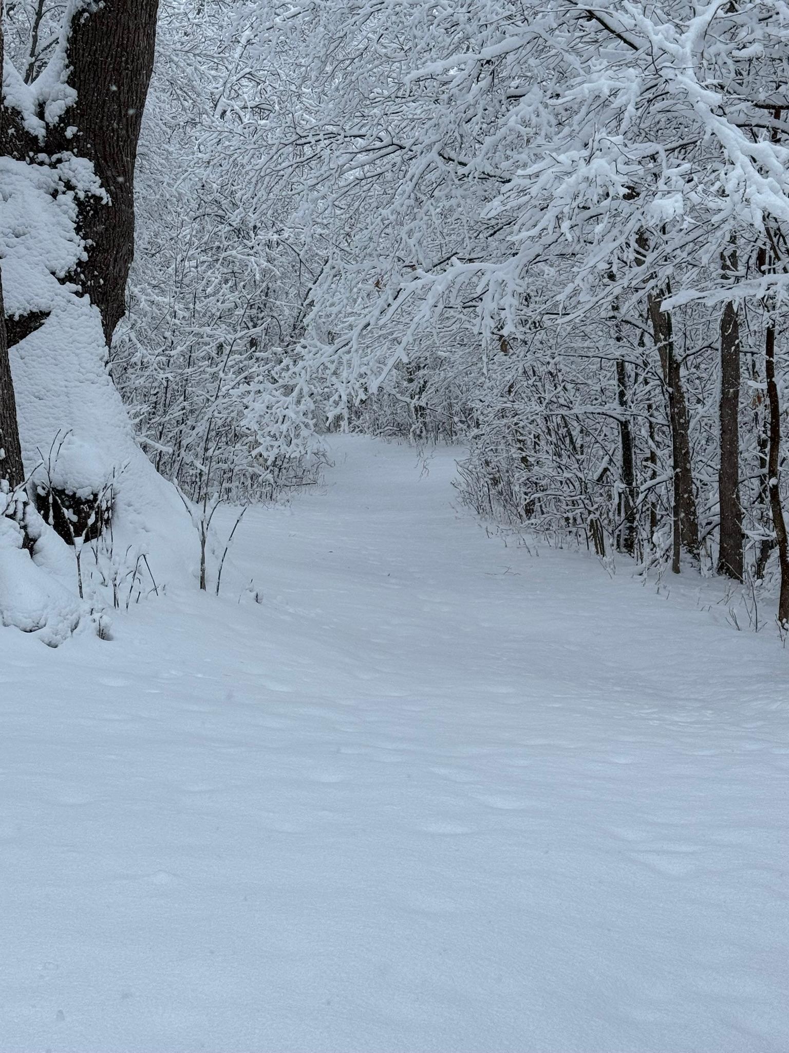 Detroit Lakes, Minnesota, 56501, United States, 3 Bedrooms Bedrooms, ,2 BathroomsBathrooms,Residential,Active,2017453