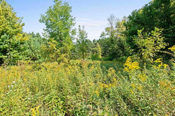 XXX LOT 4 MAPLE DRIVE, SAINT CROIX FALLS, WI 54024 - Image 1