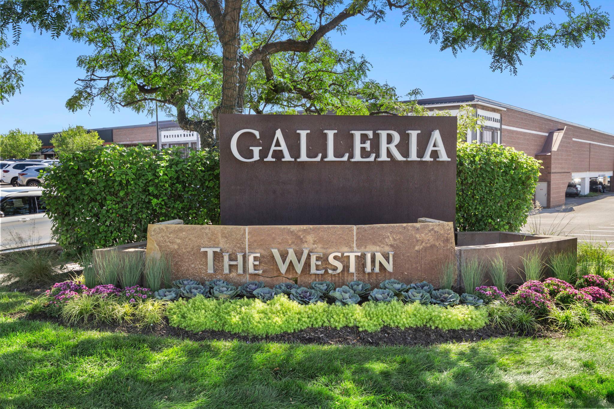 Minneapolis, Minnesota, 55435, United States, 5 Bedrooms Bedrooms, ,5 BathroomsBathrooms,Residential,Active,1944270