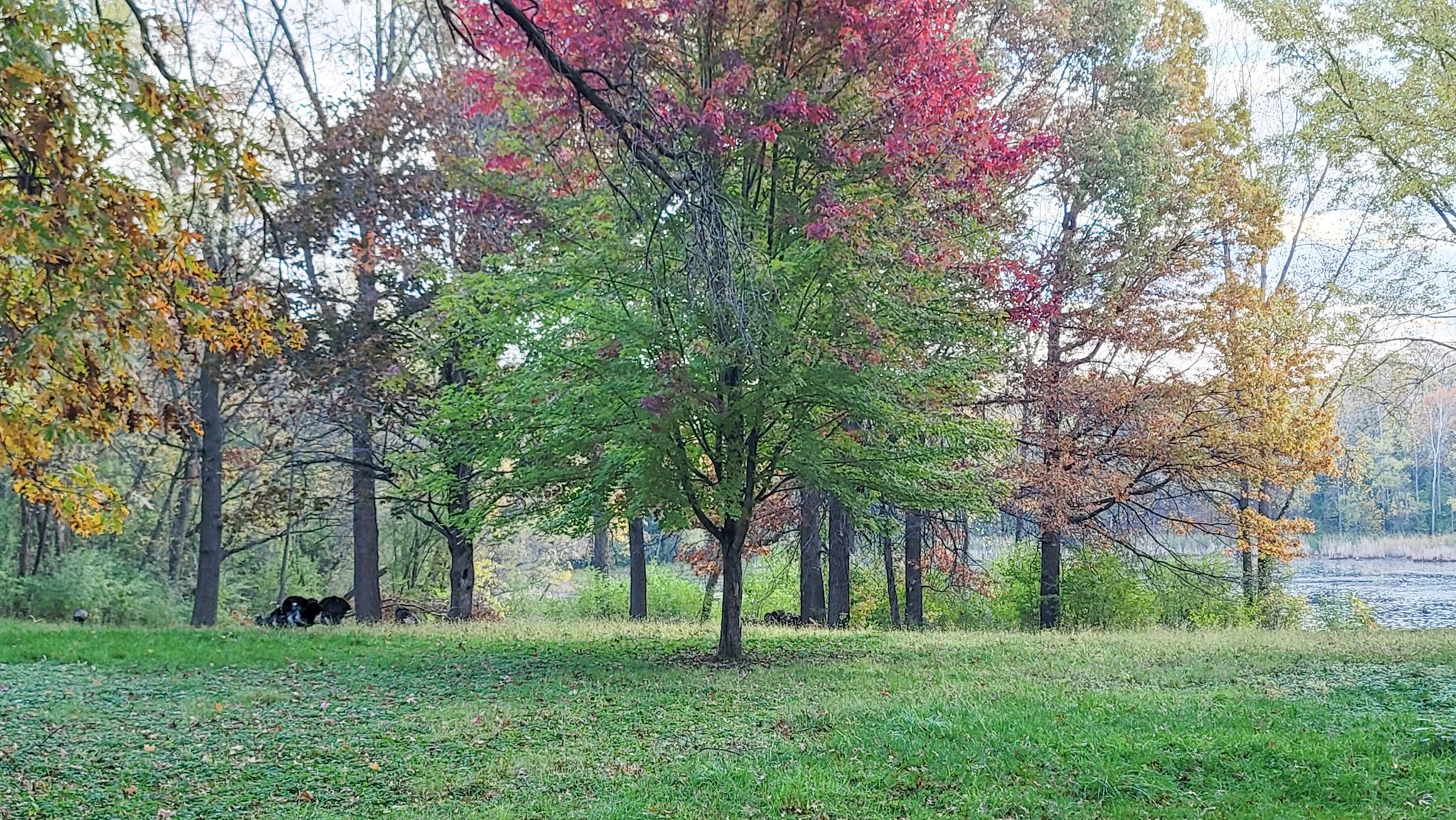 Eagan, Minnesota, 55123, United States, 5 Bedrooms Bedrooms, ,6 BathroomsBathrooms,Residential,Active,1944081