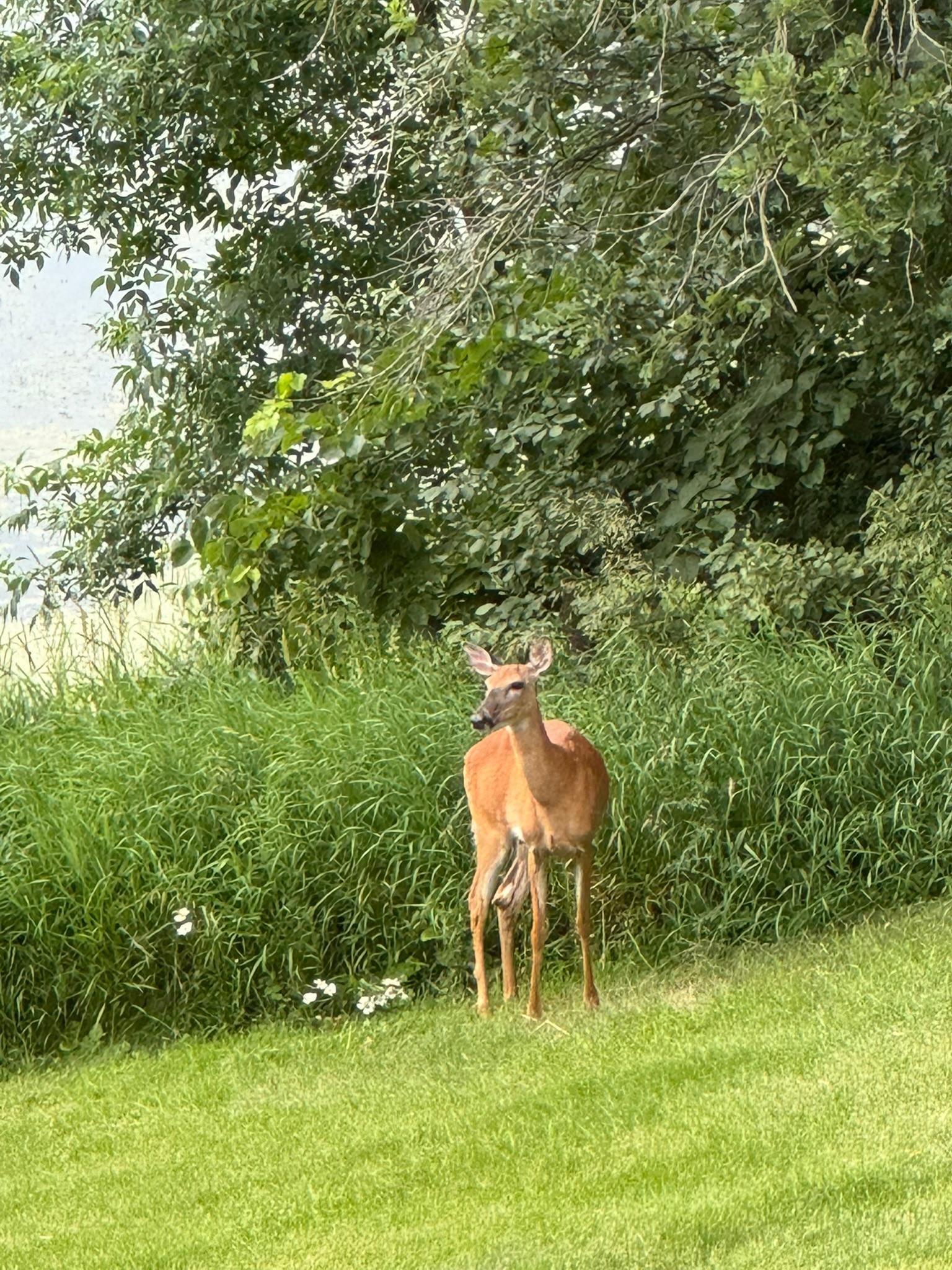 Detroit Lakes, Minnesota, 56501, United States, 3 Bedrooms Bedrooms, ,2 BathroomsBathrooms,Residential,Active,2017453