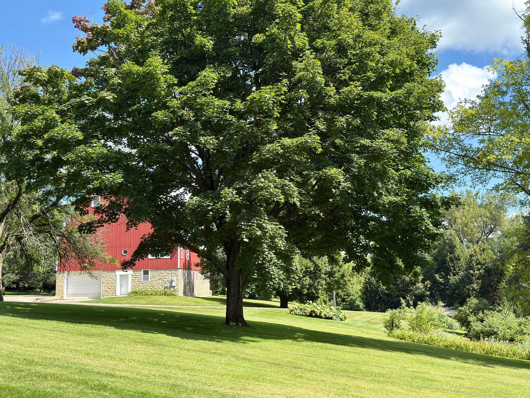 Northfield, Minnesota, 55057, United States, 3 Bedrooms Bedrooms, ,3 BathroomsBathrooms,Residential,Active,1920261