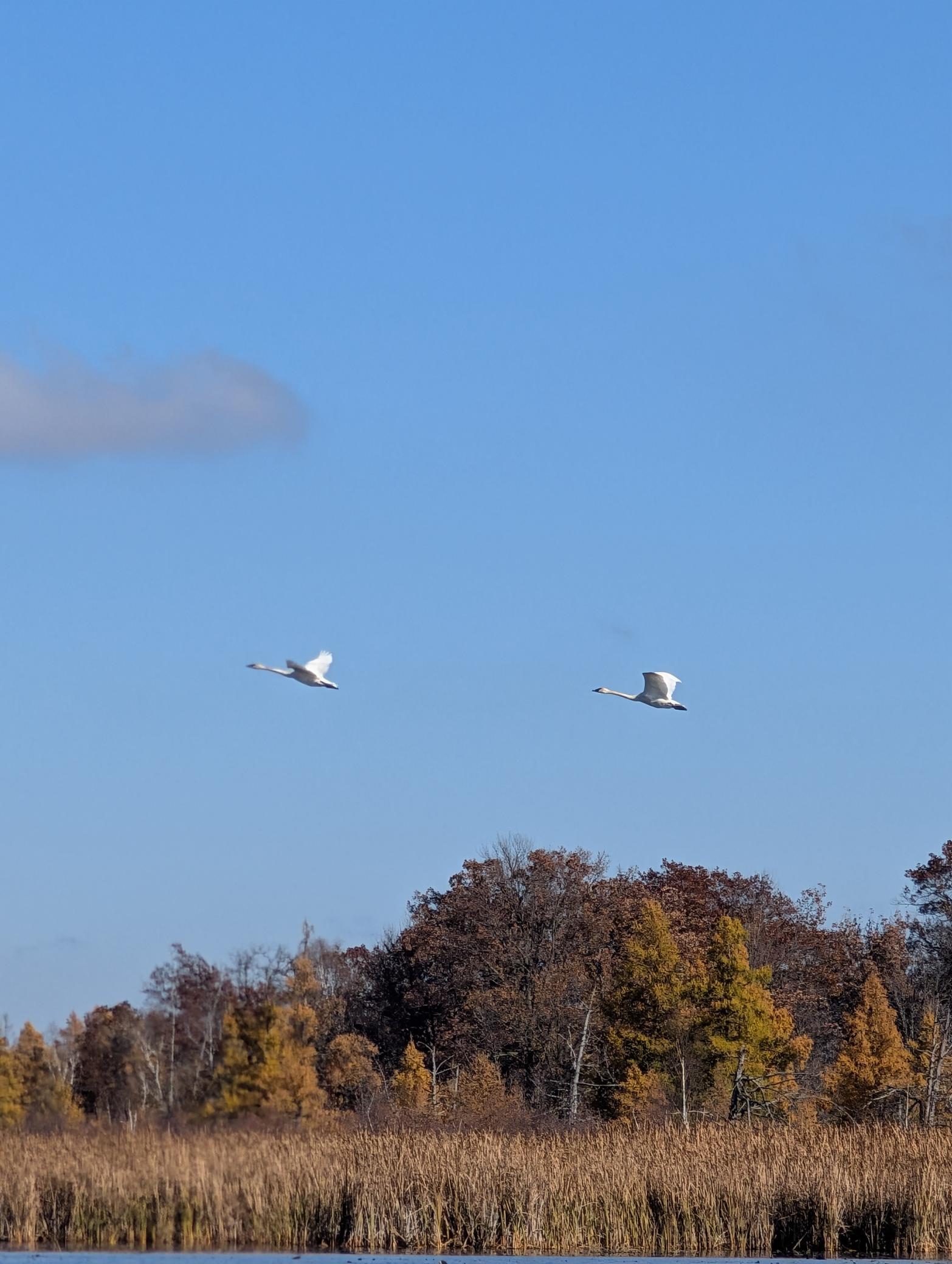 Andover, Minnesota, 55304, United States, 5 Bedrooms Bedrooms, ,5 BathroomsBathrooms,Residential,Active,1943833