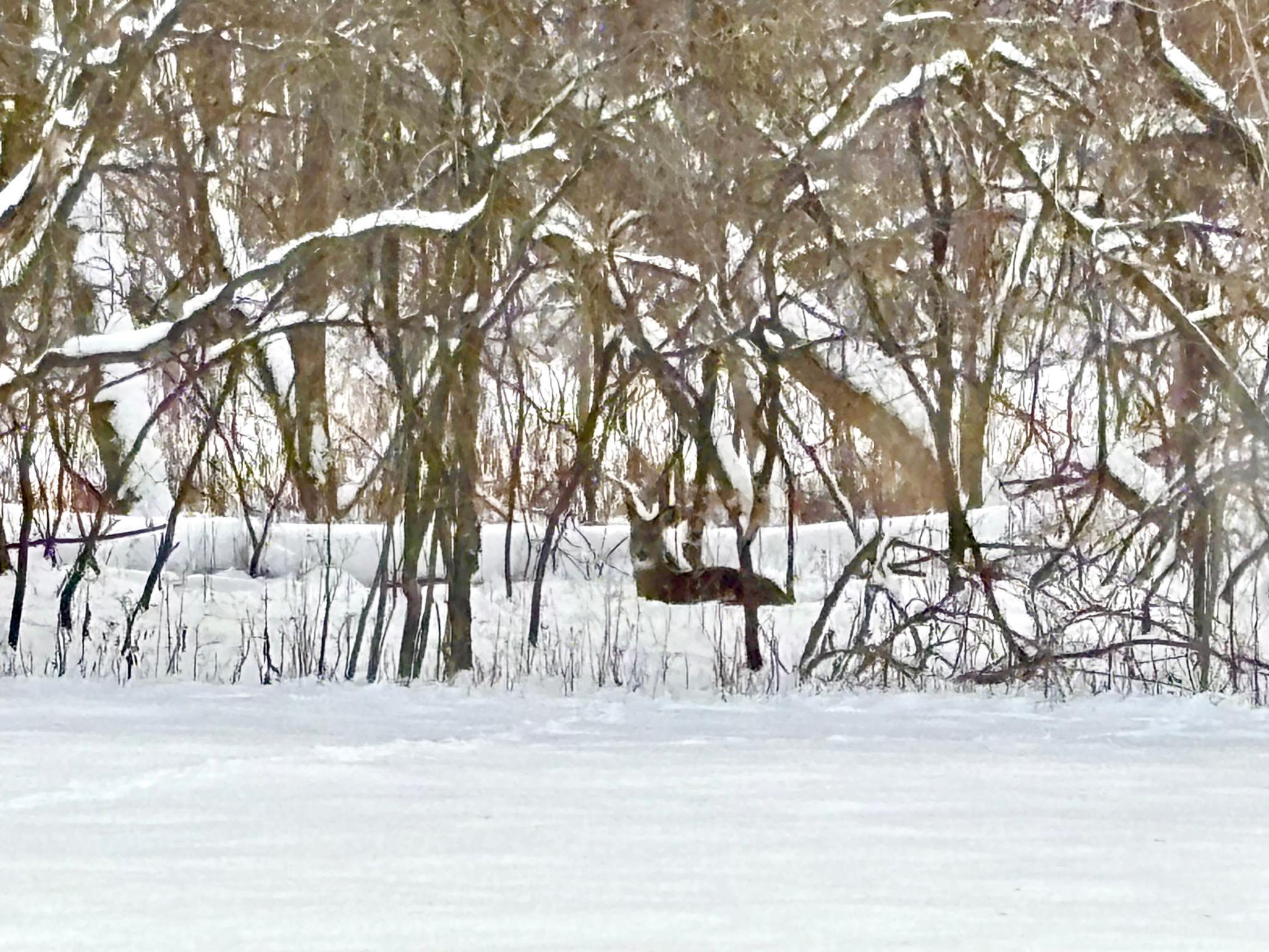Afton, Minnesota, 55001, United States, 6 Bedrooms Bedrooms, ,6 BathroomsBathrooms,Residential,Active,1973262