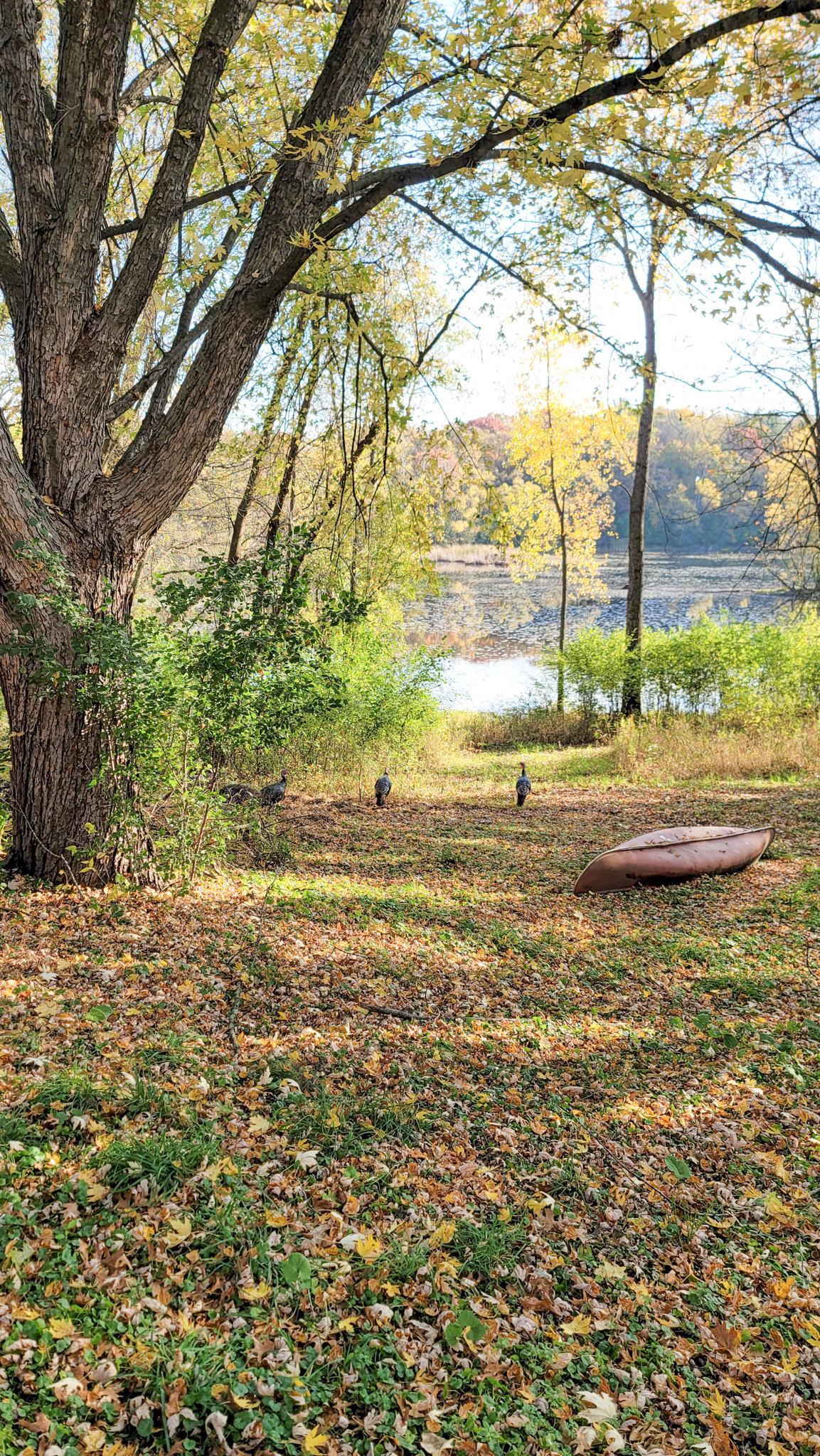 Eagan, Minnesota, 55123, United States, 5 Bedrooms Bedrooms, ,6 BathroomsBathrooms,Residential,Active,1944081