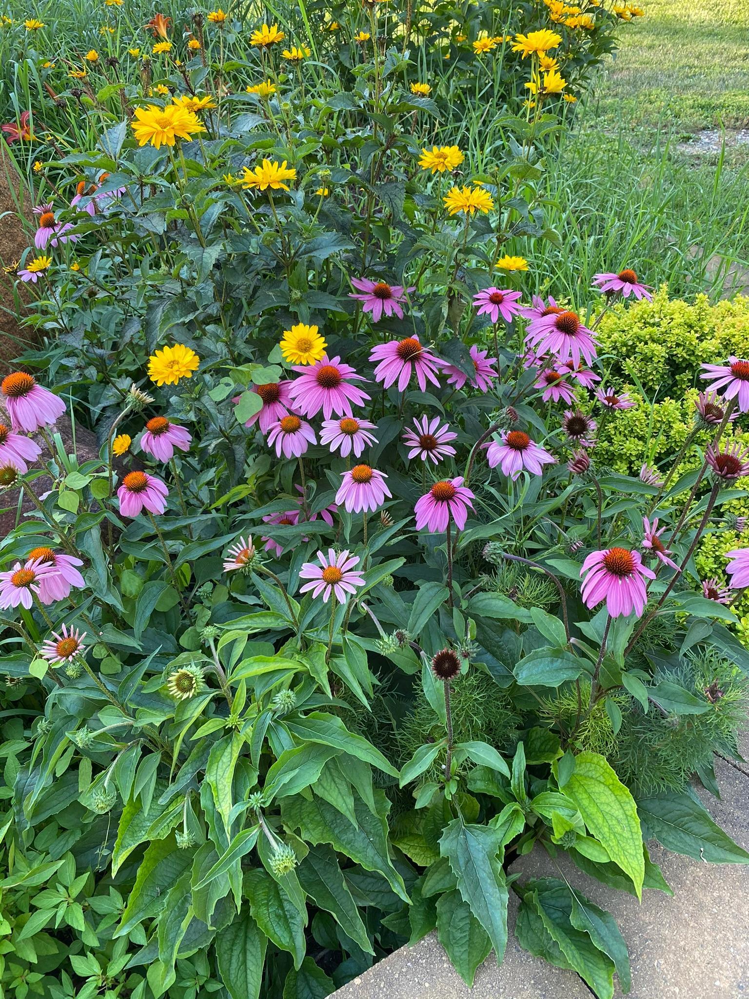 Detroit Lakes, Minnesota, 56501, United States, 3 Bedrooms Bedrooms, ,2 BathroomsBathrooms,Residential,Active,2017453