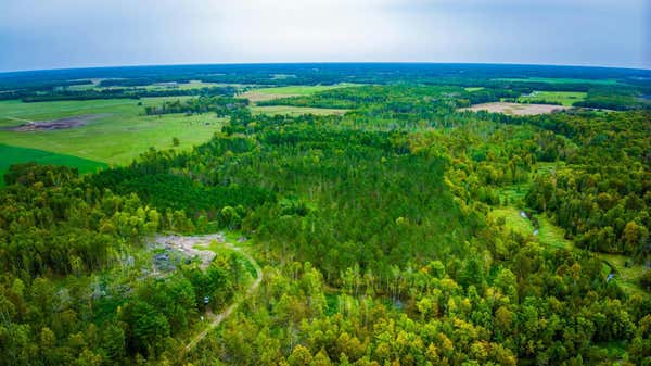 0000 N BLACKDUCK LAKE ROAD NE, HINES, MN 56647, photo 5 of 15