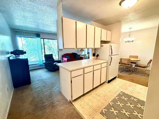 4110 RAHN RD APT 319, SAINT PAUL, MN 55122 - Image 1