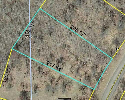 LOT 56 SPOTTED FAWN DRIVE, DANBURY, WI 54830 - Image 1