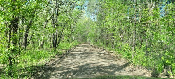 16098 201ST AVE NW, BIG LAKE, MN 55309, photo 2 of 20