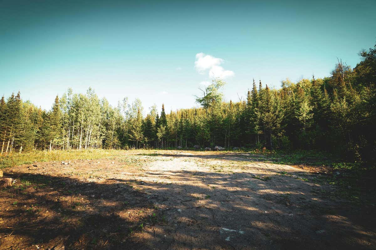 TBD PARCEL C APEX DRIVE, COOK, MN 55723, photo 1 of 8