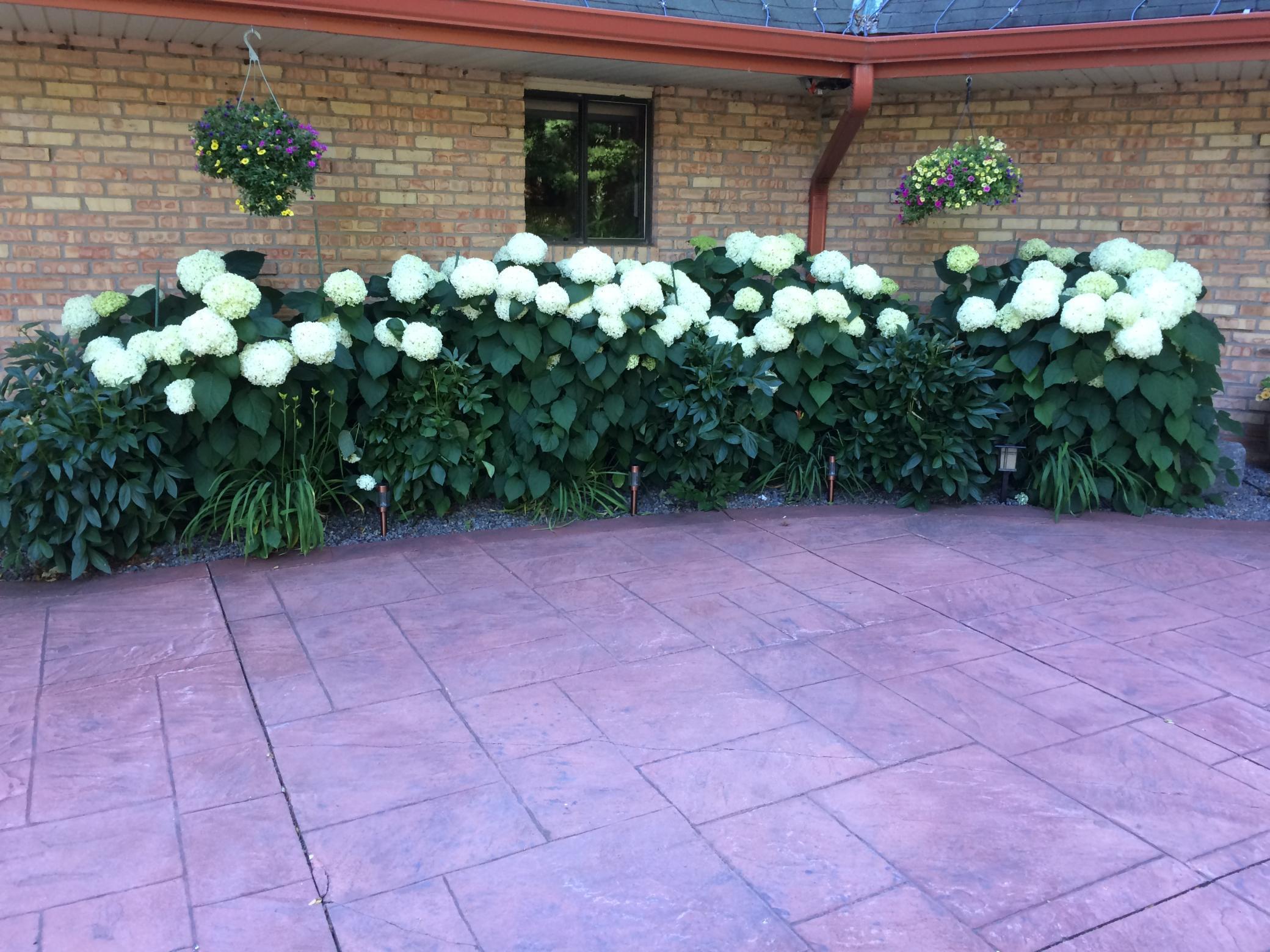 Orono, Minnesota, 55391, United States, 4 Bedrooms Bedrooms, ,3 BathroomsBathrooms,Residential,Active,1999170