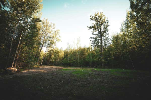 TBD PARCEL A APEX DRIVE, COOK, MN 55723 - Image 1