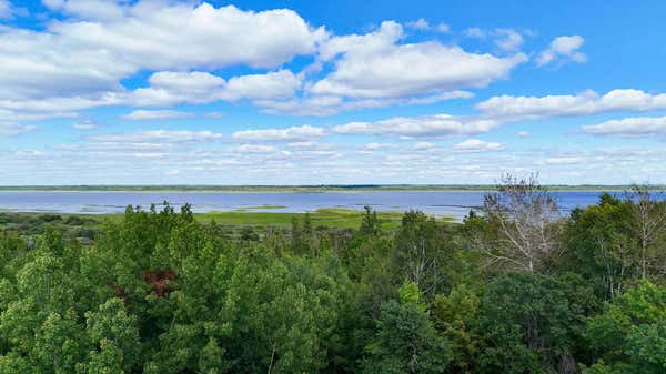 31528 COUNTY ROAD 39, DEER RIVER, MN 56636 - Image 1