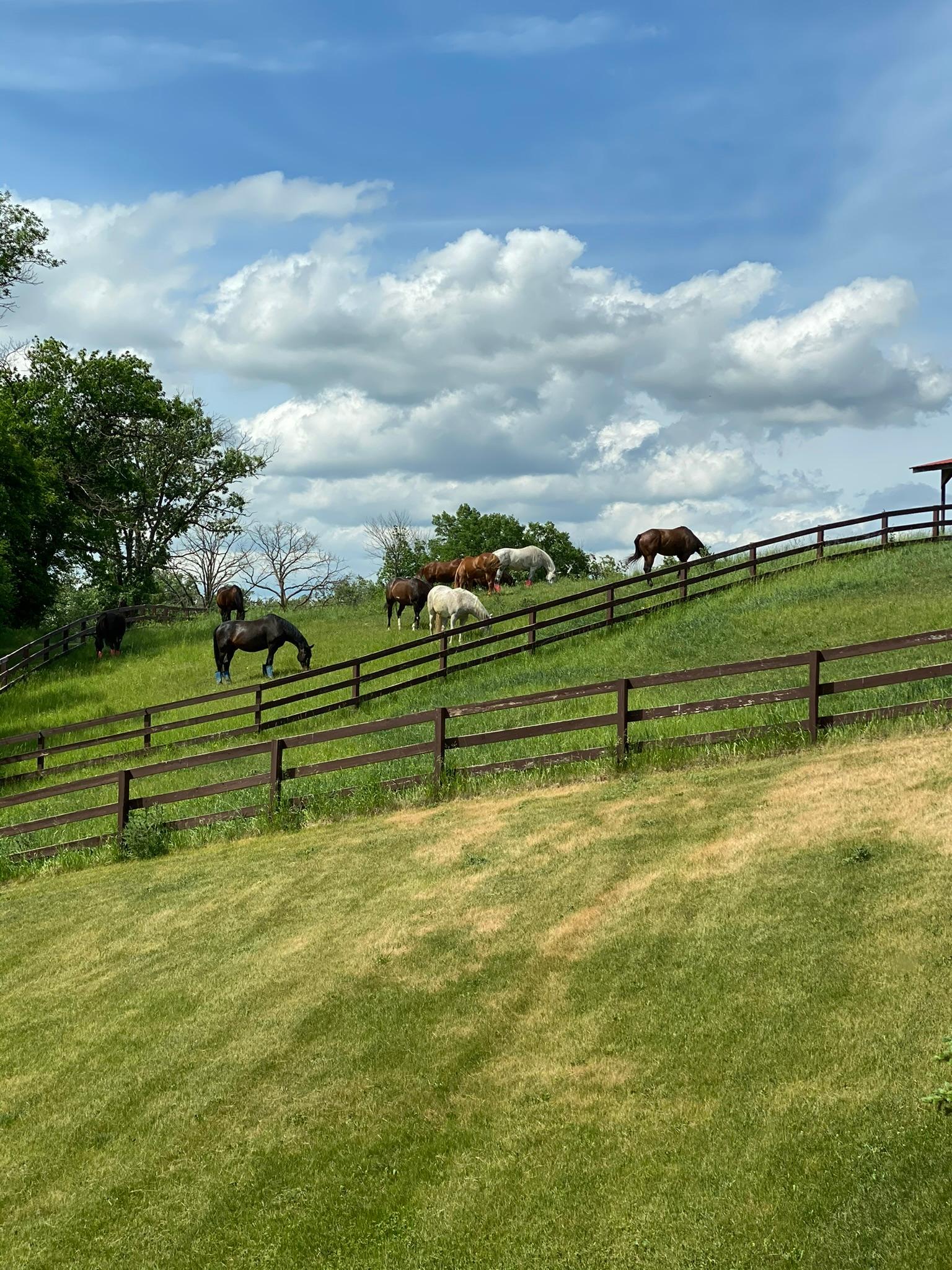 Detroit Lakes, Minnesota, 56501, United States, 3 Bedrooms Bedrooms, ,2 BathroomsBathrooms,Residential,Active,2017453