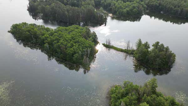 22510 SPIDER ISLAND, NEVIS, MN 56467, photo 2 of 26