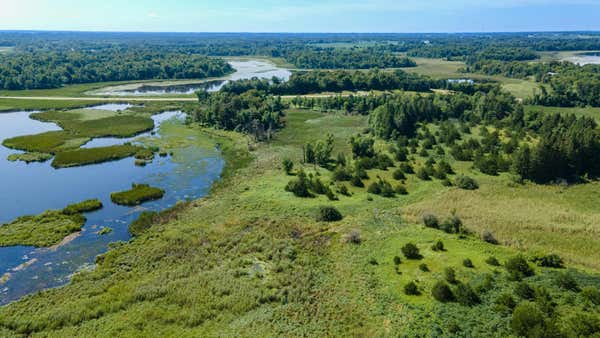 TBD 195TH AVENUE NE, NEW LONDON, MN 56273 - Image 1