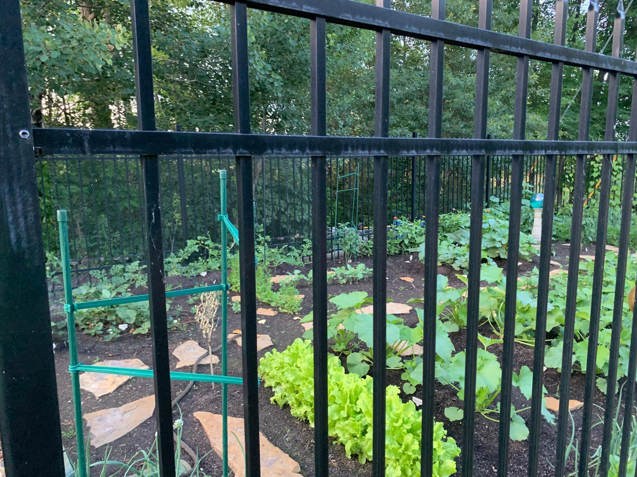 Andover, Minnesota, 55304, United States, 5 Bedrooms Bedrooms, ,5 BathroomsBathrooms,Residential,Active,1943833