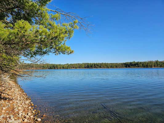 TBD HAZELNUT TRAIL, NEVIS, MN 56467 - Image 1