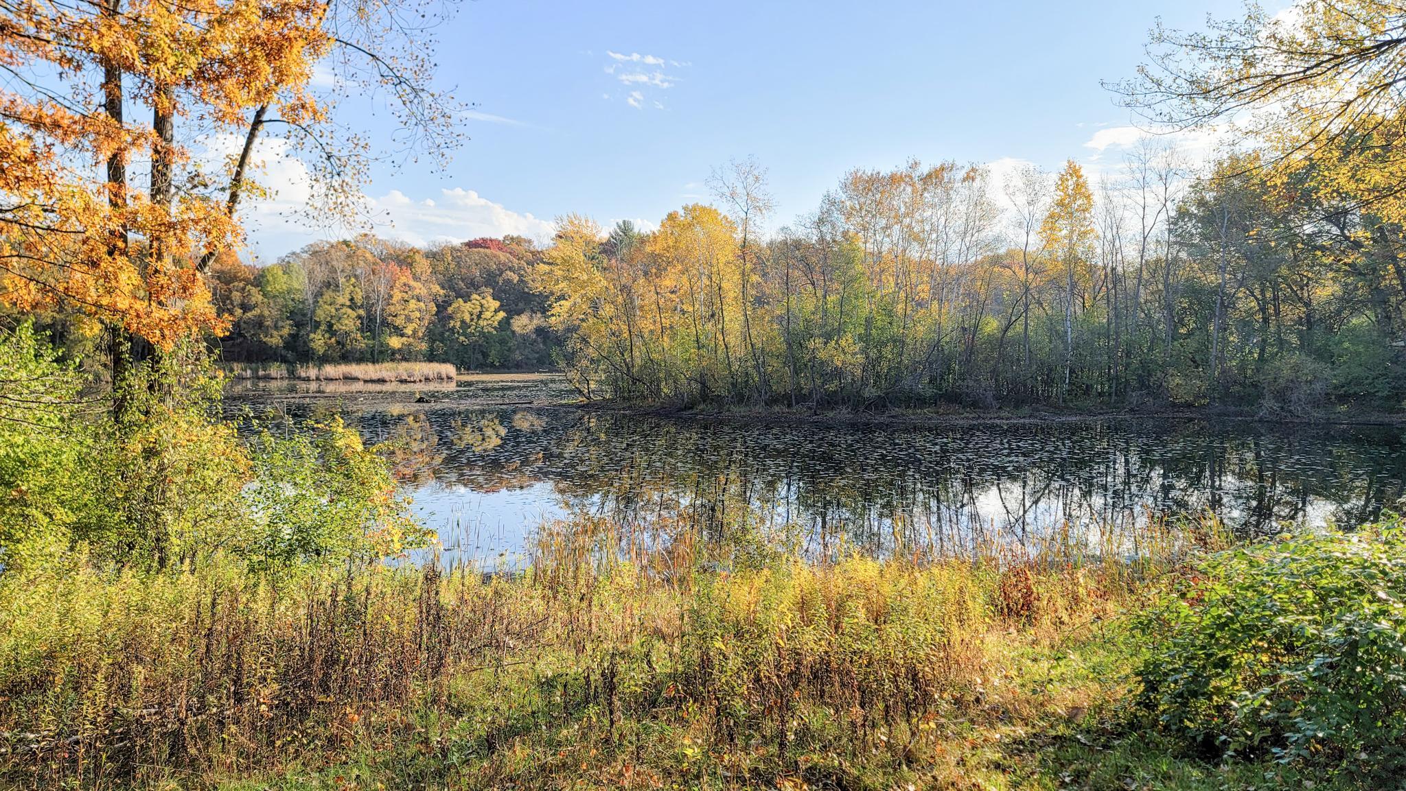 Eagan, Minnesota, 55123, United States, 5 Bedrooms Bedrooms, ,6 BathroomsBathrooms,Residential,Active,1944081