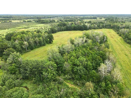 TBD-85+/-AC 380TH AVENUE, HILLMAN, MN 56338, photo 3 of 34