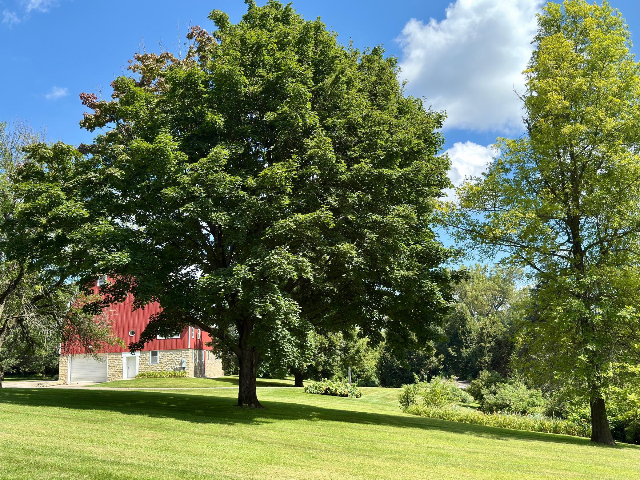 Northfield, Minnesota, 55057, United States, 3 Bedrooms Bedrooms, ,3 BathroomsBathrooms,Residential,Active,1920261
