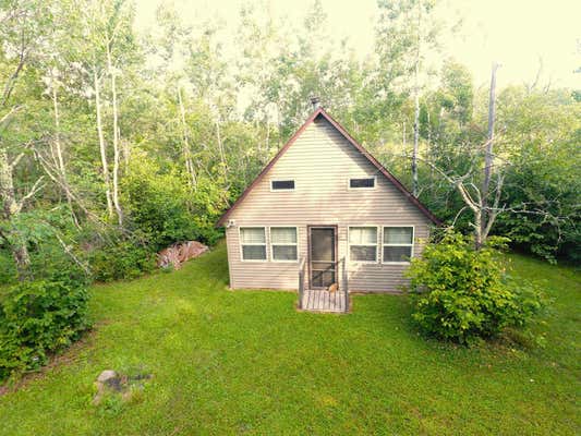 74049 KNOTTY PINE RD, BRUNO, MN 55712 - Image 1