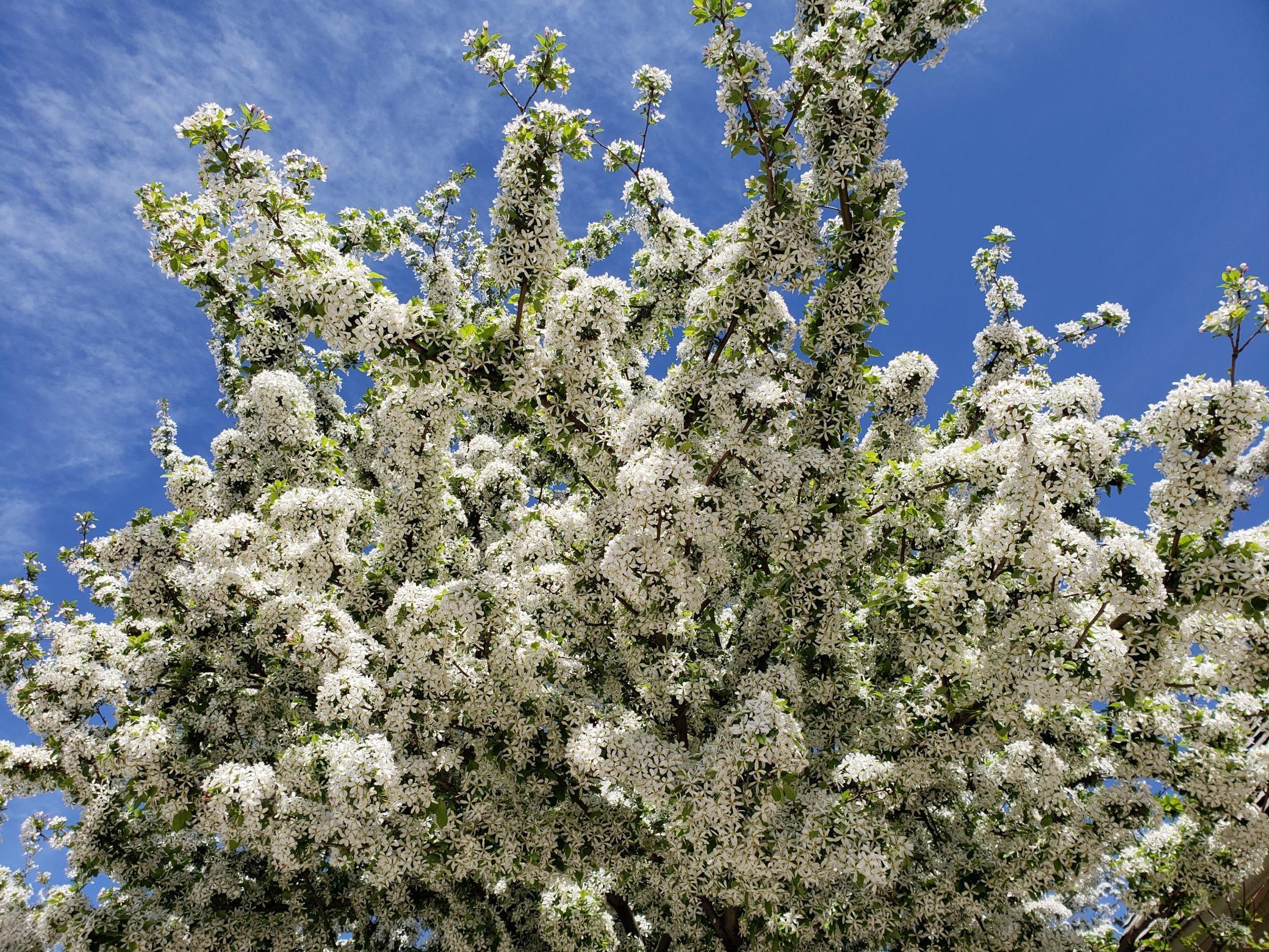 Eden Prairie, Minnesota, 55347, United States, 5 Bedrooms Bedrooms, ,6 BathroomsBathrooms,Residential,Active,1997621