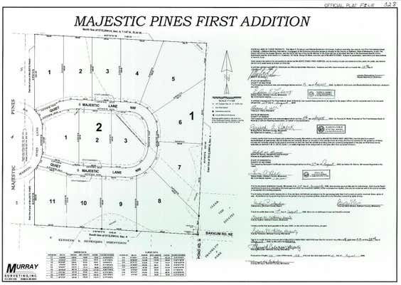 TBD MAJESTIC PINES LN NW, BEMIDJI, MN 56601, photo 2 of 2