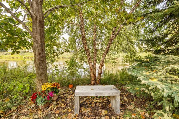 2908 123RD CIR NE, MINNEAPOLIS, MN 55449, photo 4 of 34