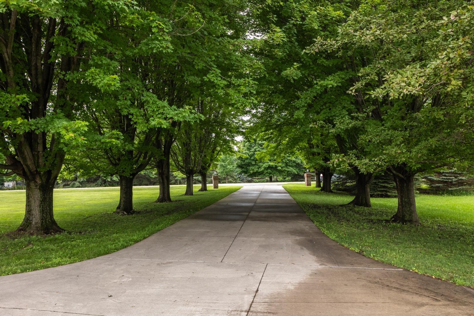 Rochester, Minnesota, 55902, United States, 5 Bedrooms Bedrooms, ,4 BathroomsBathrooms,Residential,Active,1902957