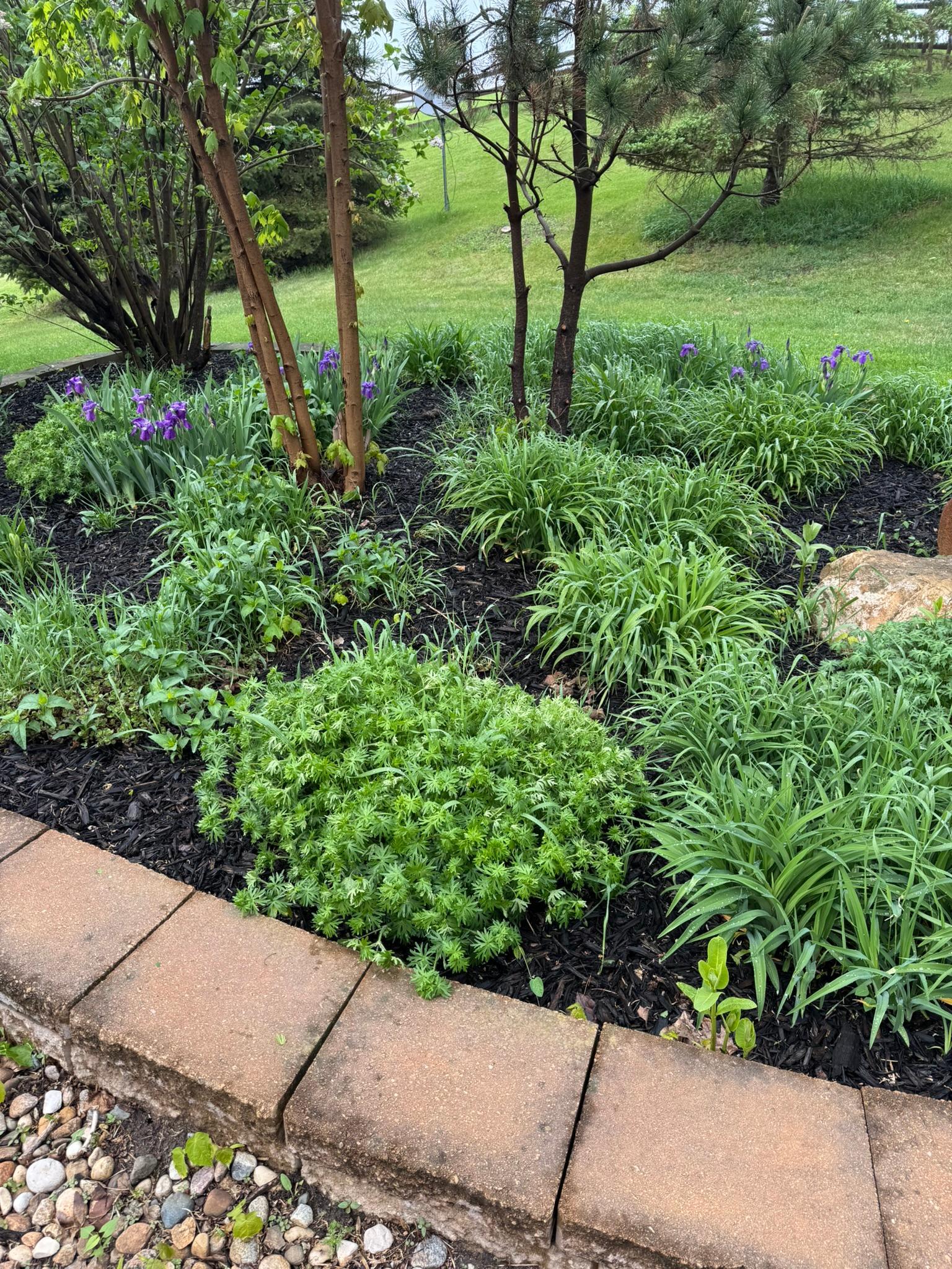 Detroit Lakes, Minnesota, 56501, United States, 3 Bedrooms Bedrooms, ,2 BathroomsBathrooms,Residential,Active,2017453