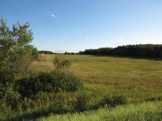 TBD 12TH PARCEL 8 STREET SW, BACKUS, MN 56435 - Image 1