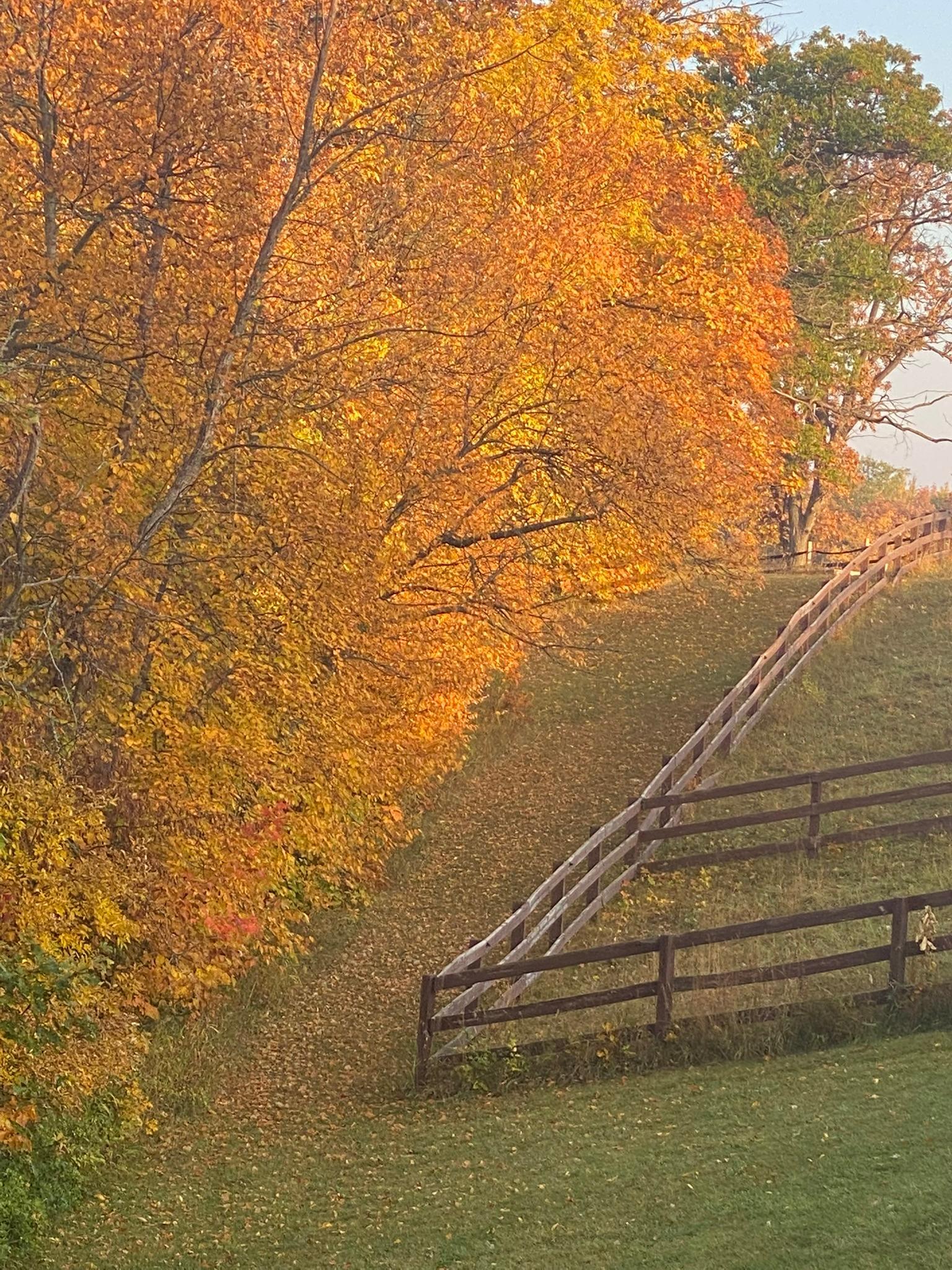 Detroit Lakes, Minnesota, 56501, United States, 3 Bedrooms Bedrooms, ,2 BathroomsBathrooms,Residential,Active,2017453