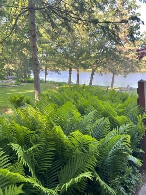 Marine On Saint Croix, Minnesota, 55047, United States, 2 Bedrooms Bedrooms, ,1 BathroomBathrooms,Residential,Active,1988450