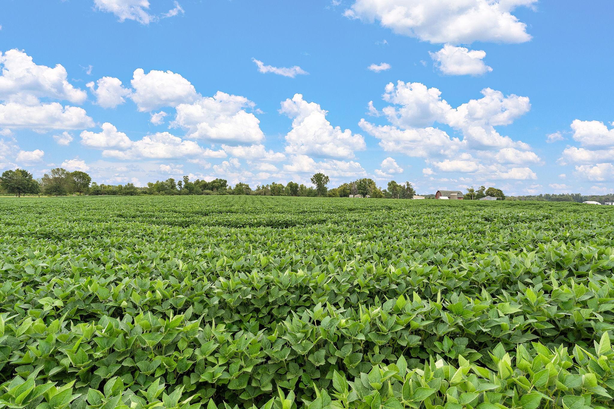 Faribault, Minnesota, 55021, United States, 4 Bedrooms Bedrooms, ,4 BathroomsBathrooms,Residential,Active,1909659