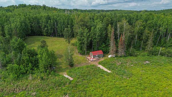 41251 TURTLE LAKE RD, BIGFORK, MN 56628 - Image 1