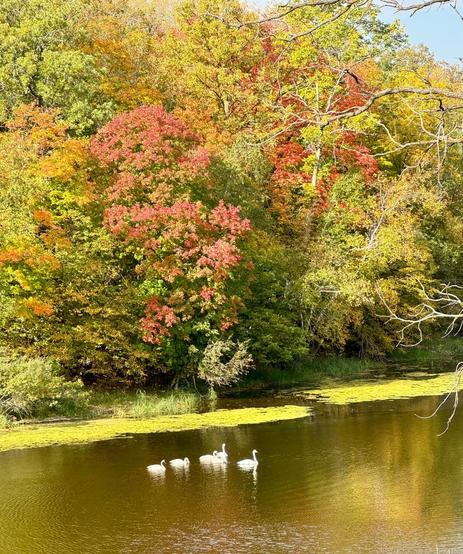 Detroit Lakes, Minnesota, 56501, United States, 3 Bedrooms Bedrooms, ,2 BathroomsBathrooms,Residential,Active,2017453