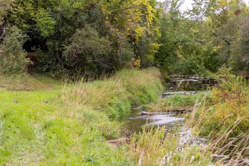 Fairmont, Minnesota, 56031, United States, 1 Bedroom Bedrooms, ,1 BathroomBathrooms,Residential,Active,1772774