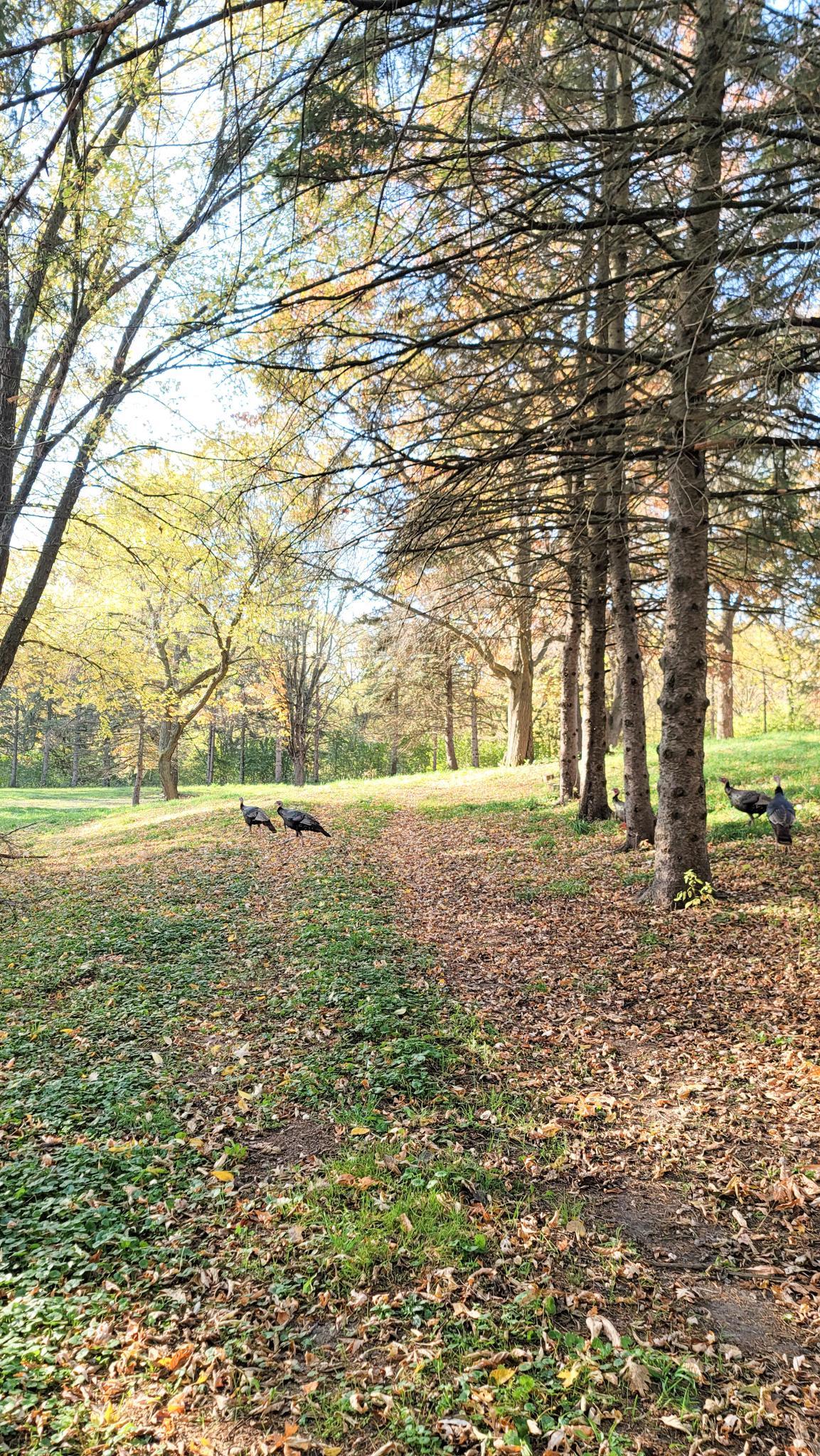 Eagan, Minnesota, 55123, United States, 5 Bedrooms Bedrooms, ,6 BathroomsBathrooms,Residential,Active,1944081