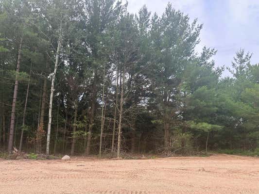 LOT 3 BLK 2 BRUMMER DRIVE, RANDALL, MN 56475 - Image 1